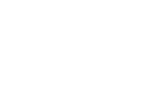 icon of a wok