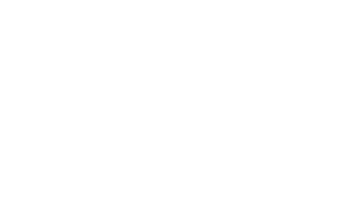 icon of a bowl full of noodles
