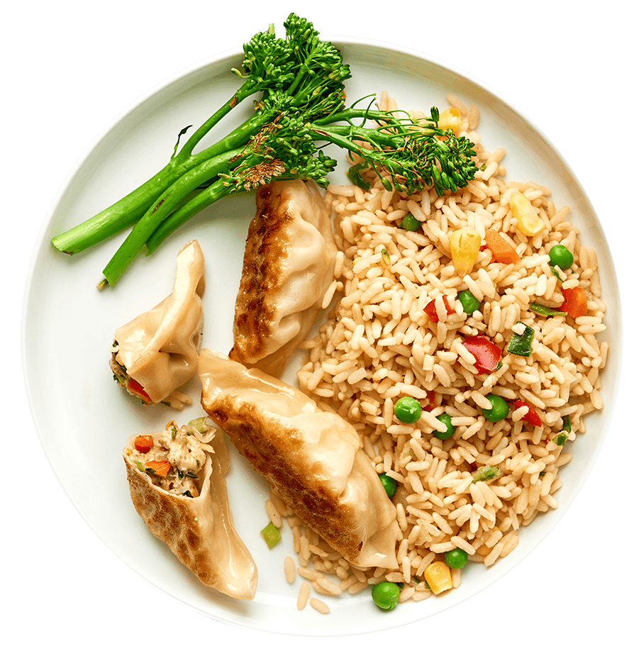 overhead photo of dinner plate showing fried dumplings and rice