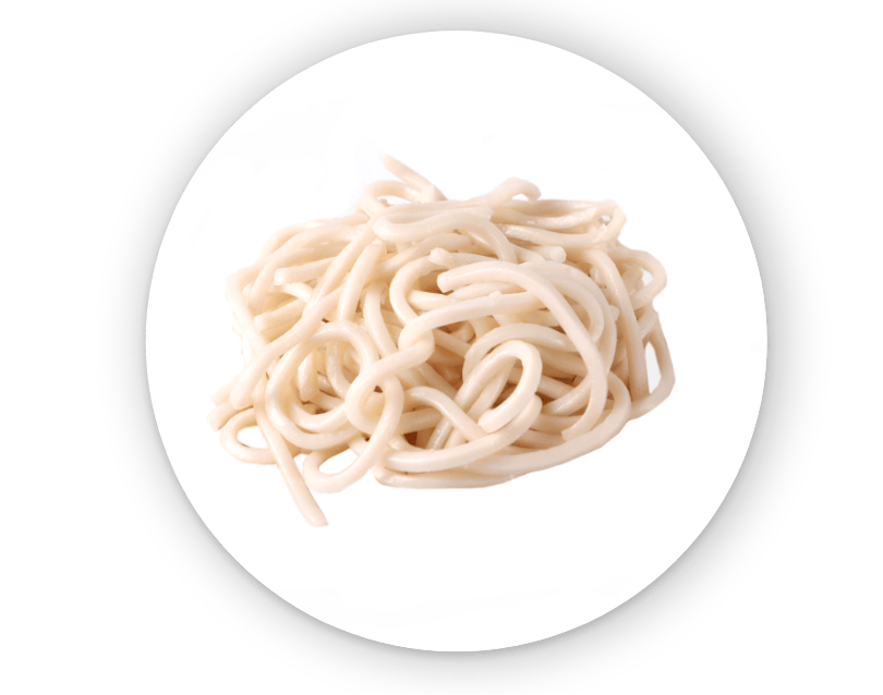 Udon Noodles