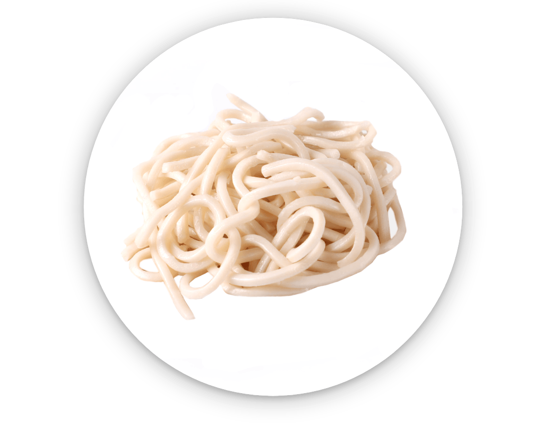 Udon Noodles
